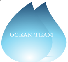 OCEAN TEAM SHIPPING LIMITED